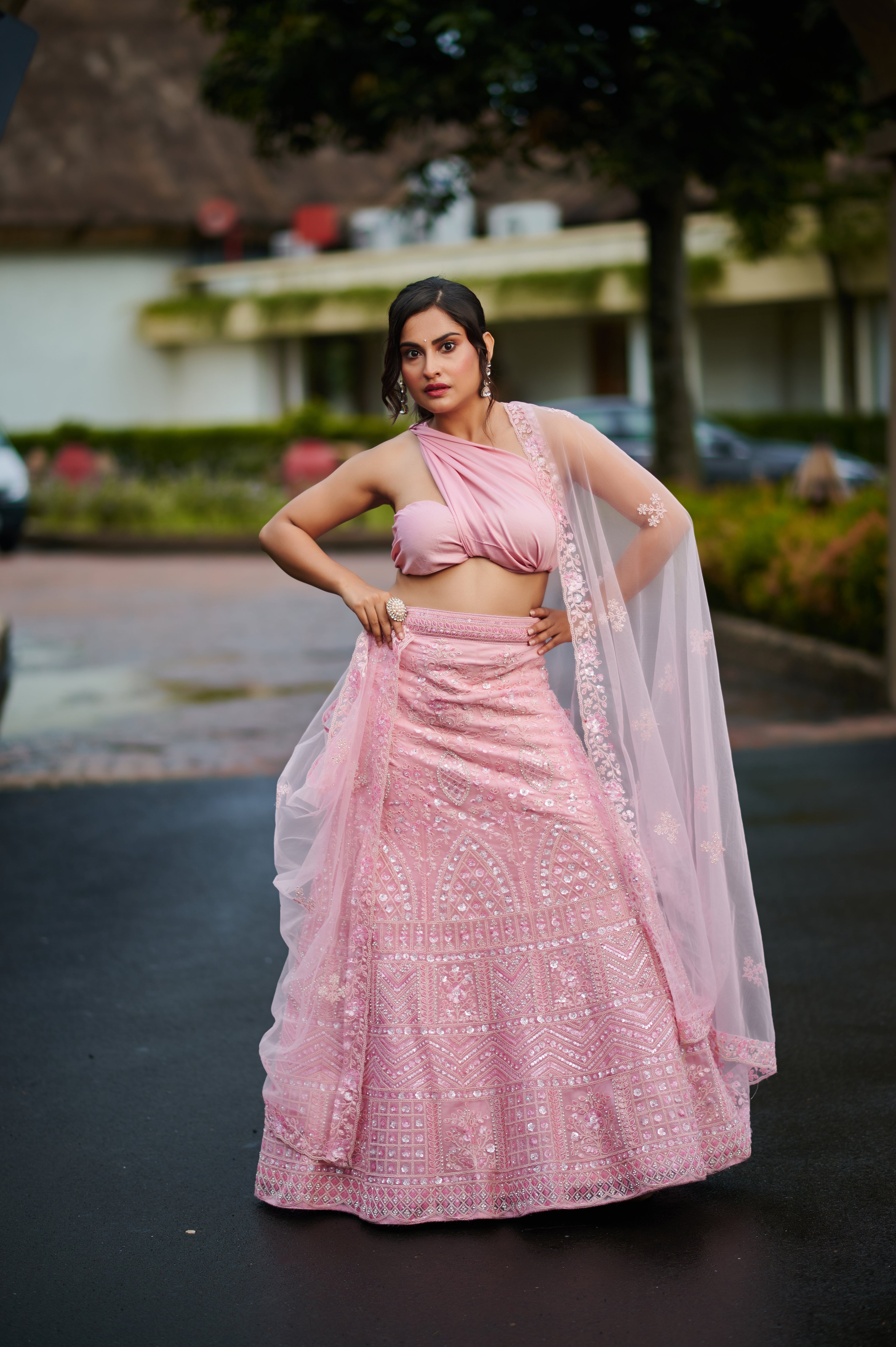 Blush Pink Mirror Embellished Lehenga Set